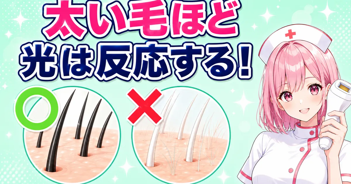 ケノンは太い毛ほど光が反応する 白髪や産毛には効きにくい