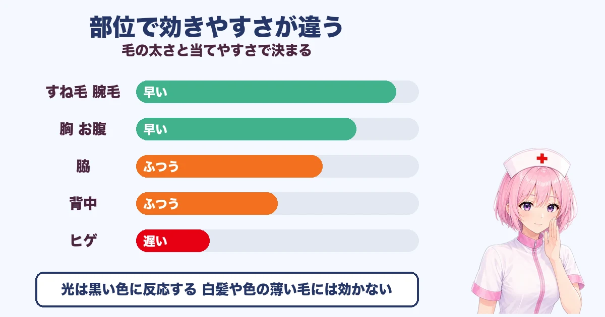 ケノンの部位別の効きやすさ すね毛腕毛は早くヒゲは遅い