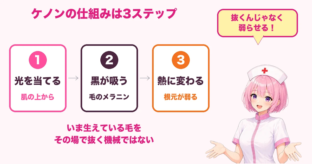 光が毛の黒い色に吸われて熱に変わりケノンの効果が出るまでの3ステップの図