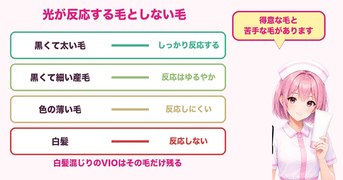黒い毛には反応し白髪には反応しないことを示す図