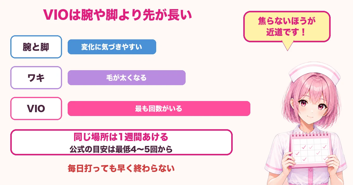 腕や脚とワキとVIOの回数の目安を比べた図