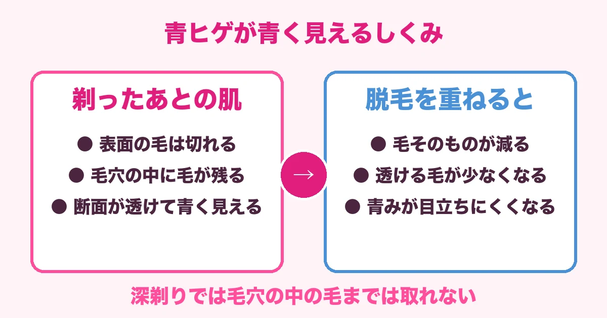 青ヒゲが青く見えるしくみ