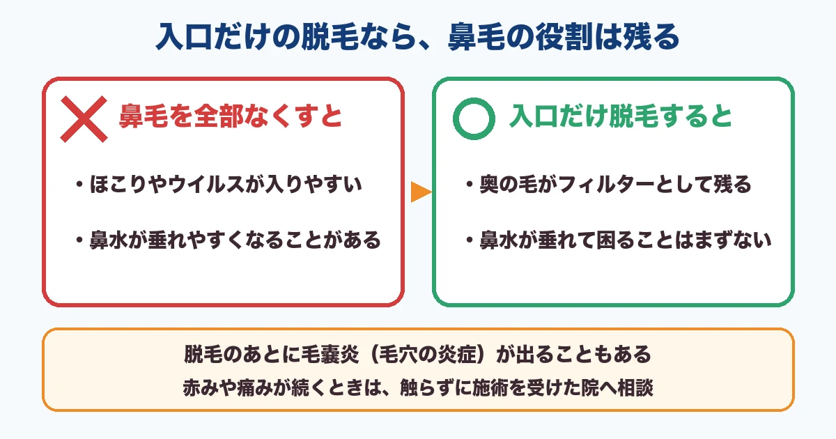 鼻毛を全部なくす場合と入口だけ脱毛する場合の違い
