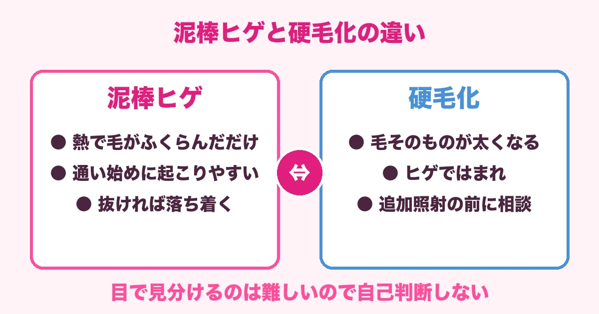 泥棒ヒゲと硬毛化の違い