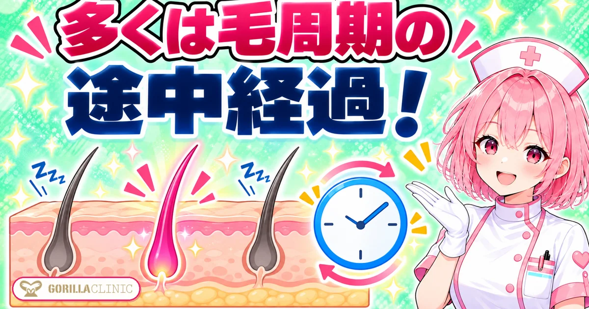 効果がないと感じる多くは毛周期の途中経過