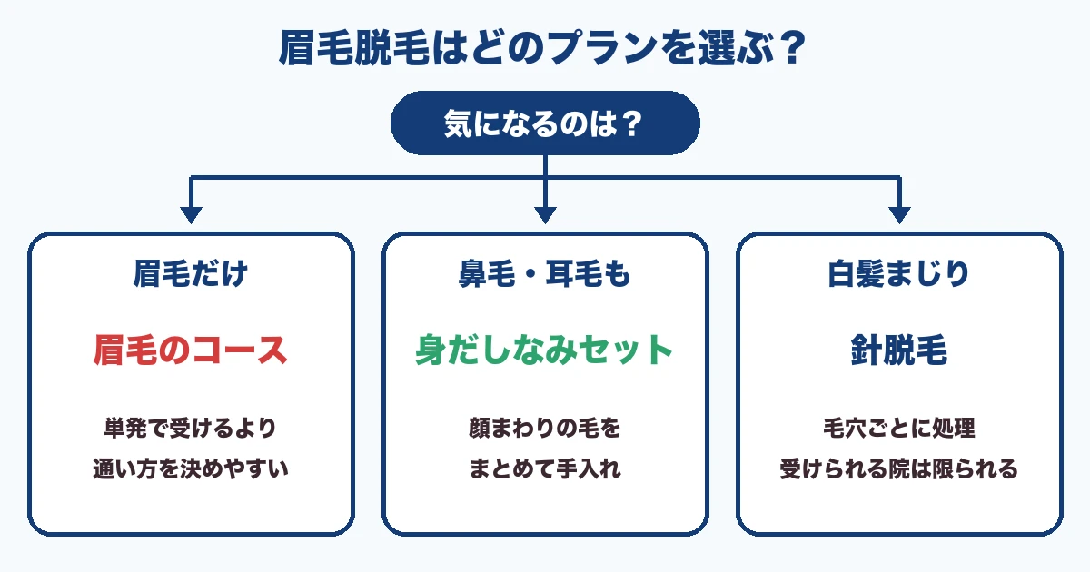 眉毛だけなら眉毛のコース、鼻毛・耳毛もなら身だしなみセット、白髪まじりなら針脱毛
